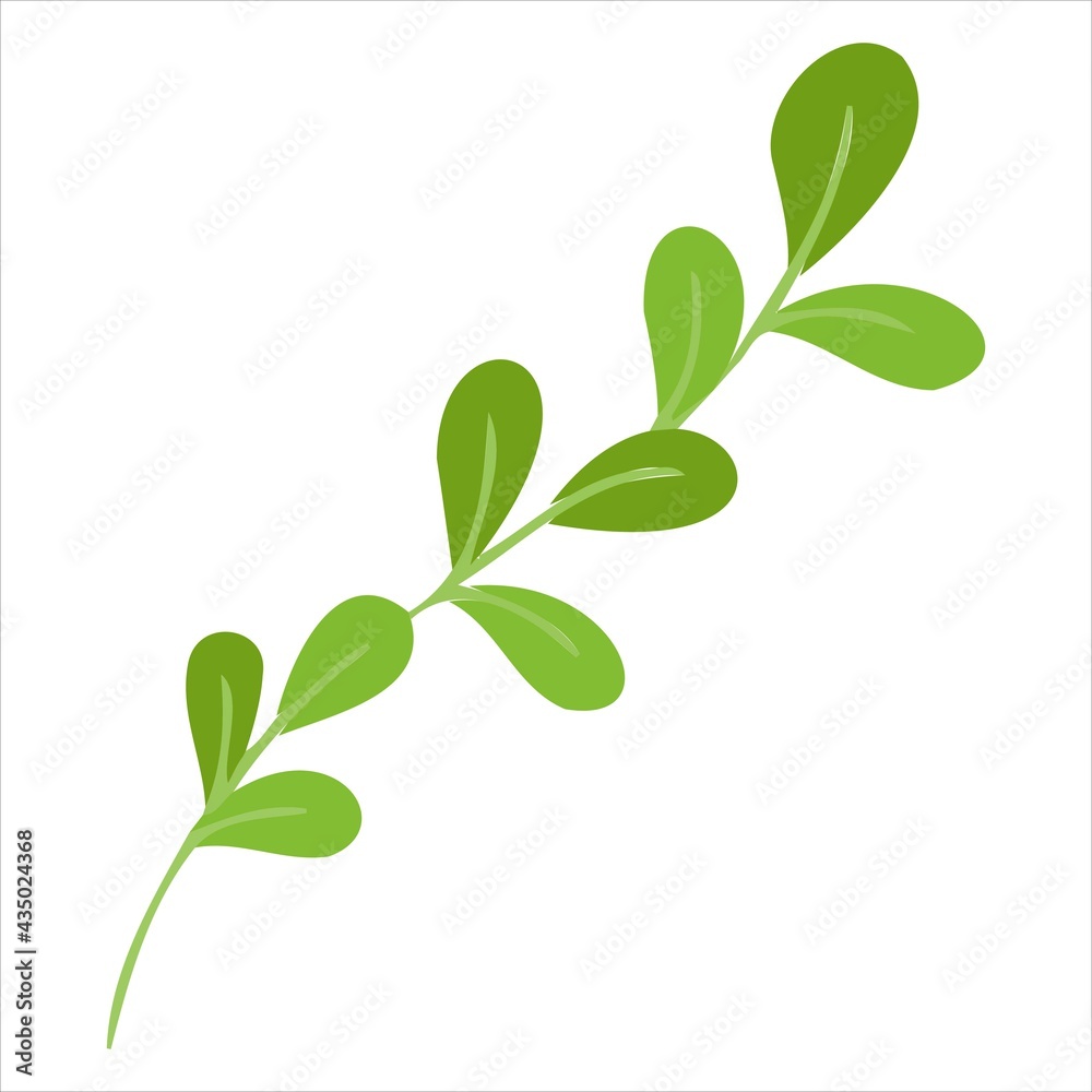 Vector illustration with a green sprig. Vector of plants in the doodle style for banners and postcards.yle plant vector for banners and postcards. Vector illustration with a green sprig. Vector of plants in the doodle style for banners and postcards.yle plant vector for banners and postcards.
