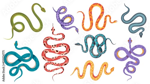 Wild snakes. Colorful coral snake tattoos with abstract and natural patterns. Viper, anaconda crawl and hiss. Poisonous serpent vector set