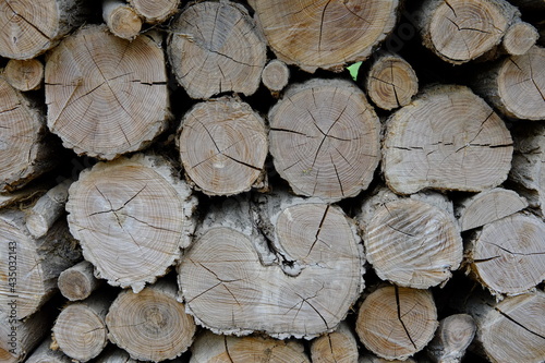 A close-up on some logs of wood.
