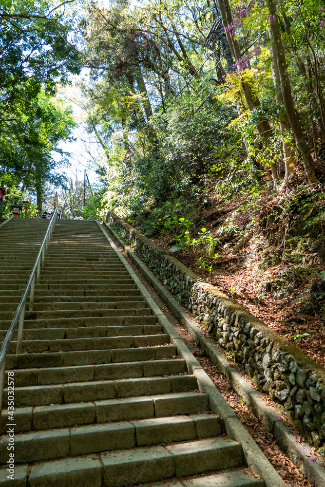 Obraz premium 高尾山の登山路