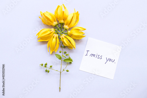 i miss you message card handwriting in with yellow flowers ylang ylang arrangement flat lay postcard style on background white