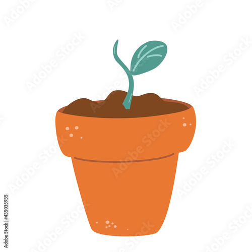 Flower pot with sprout. Simple plant with green leaves in brown pot. Green sprouts growing out from soil. The concept of growth and be handled with care. Vector flat illustration.