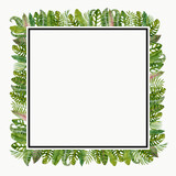 square frame with tropical leaves
