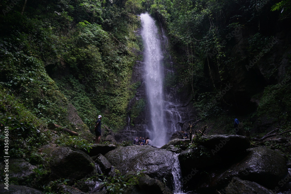 waterfall in the jungle