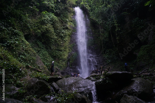 waterfall in the jungle