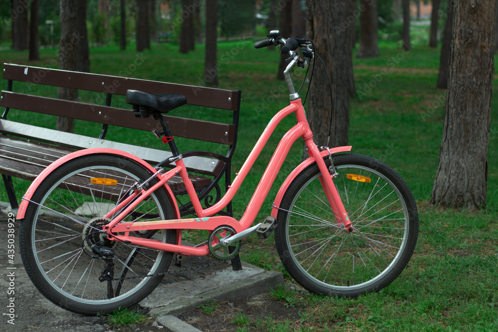 Pink women's city bike in a pine Park near a bench.