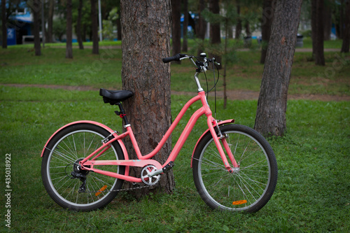ink city women's bike on the green grass in the Park near the pine tree.j