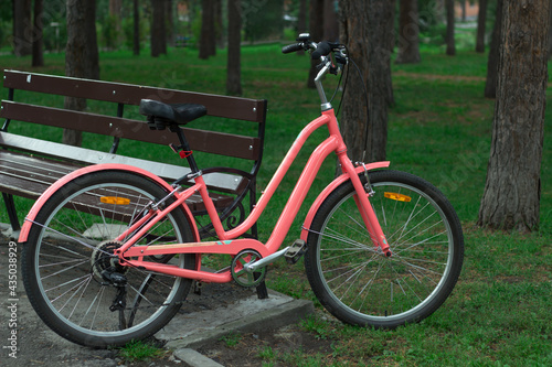 Pink women s city bike in a pine Park near a bench.