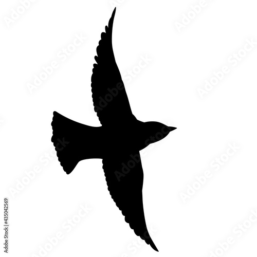 flying bird black silhouette, vector, isolated