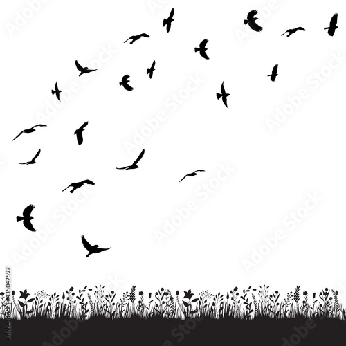 flying bird black silhouette, flock, vector