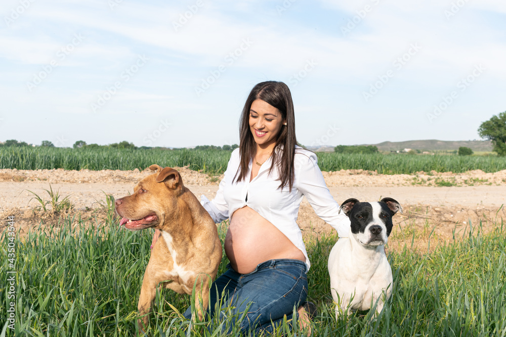 Ταπετσαρία pregnant girl fucking and kissing her dog in the field