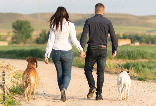 couple in love walking along a path with their dogs