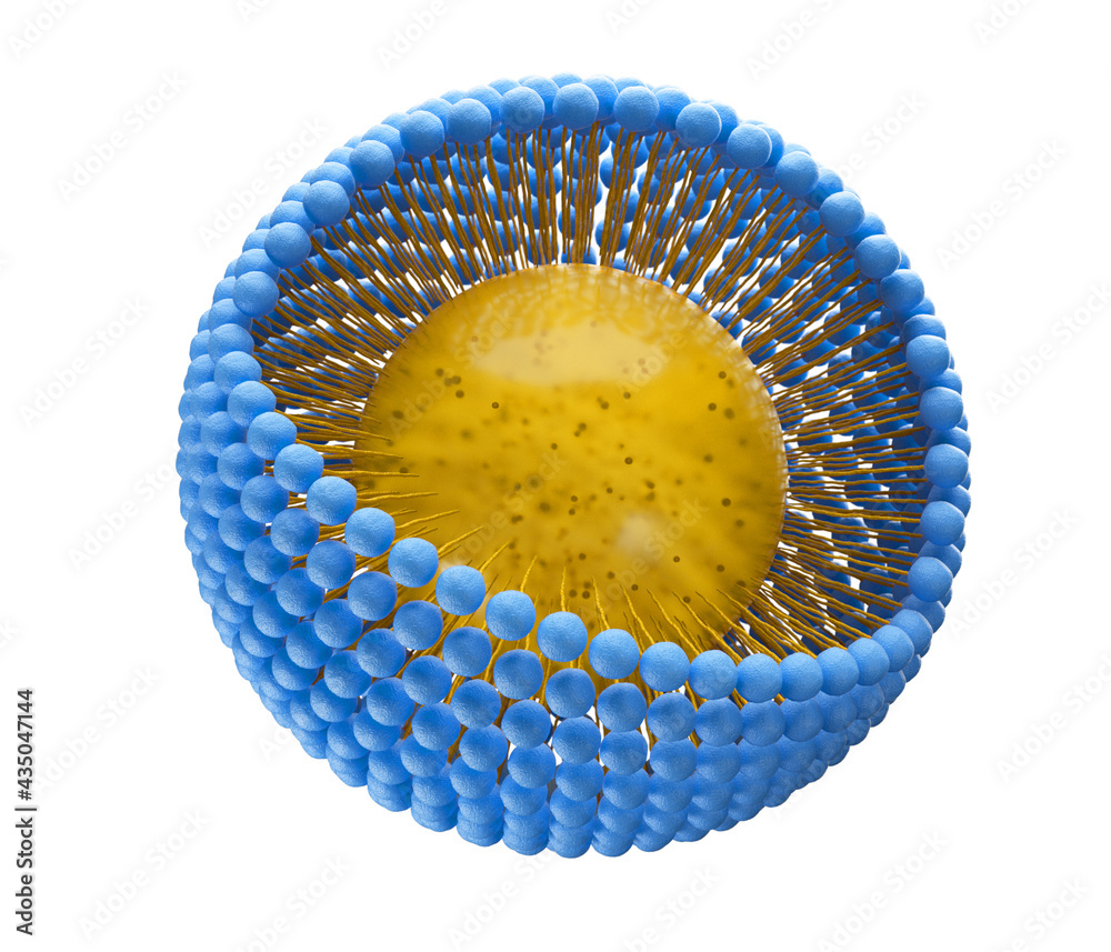 Medical 3D illustration of a monolayer micelle structure with a fat ...