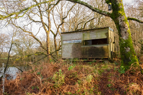 A wooden bird hide sitting in a woodland beside a river, for bird watchers. photo