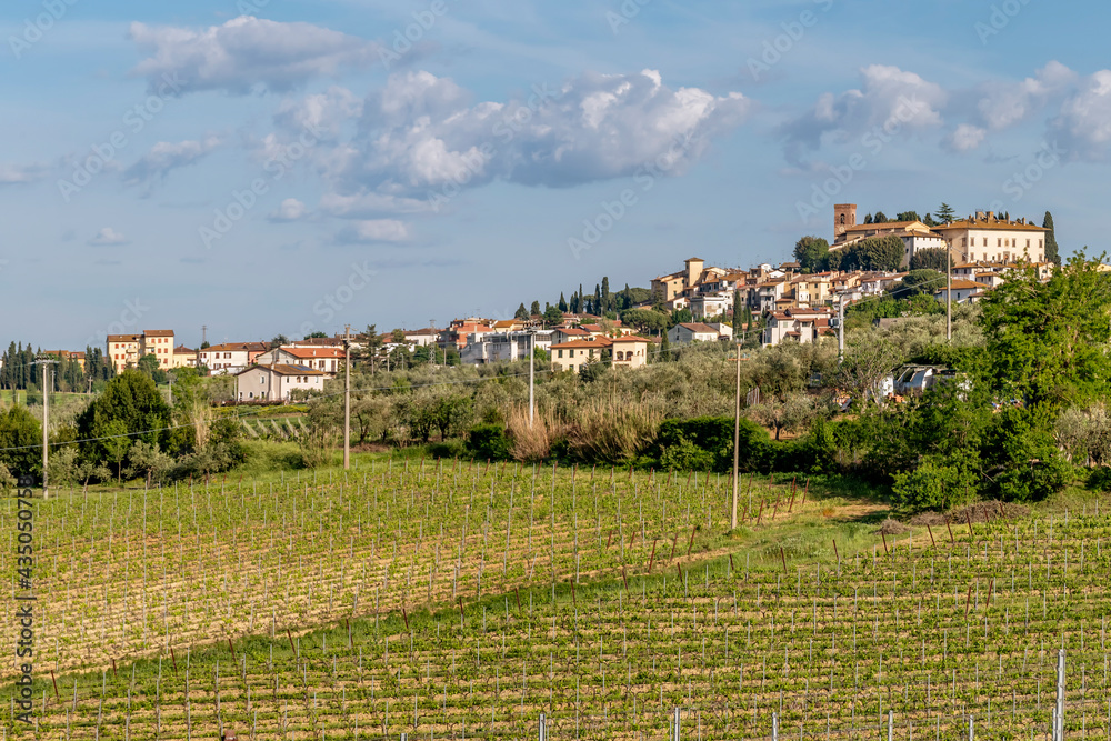Expanses of vineyards for the production of Chianti wine with in the background the hill town of Cerreto Guidi, Florence, Italy
