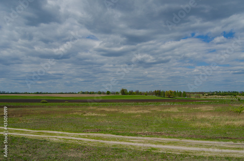Spring landscape with an earth road, fields, trees in rural Ukrainian area