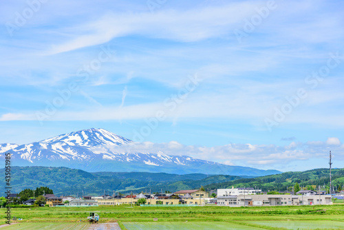 庄内平野より鳥海山を望む