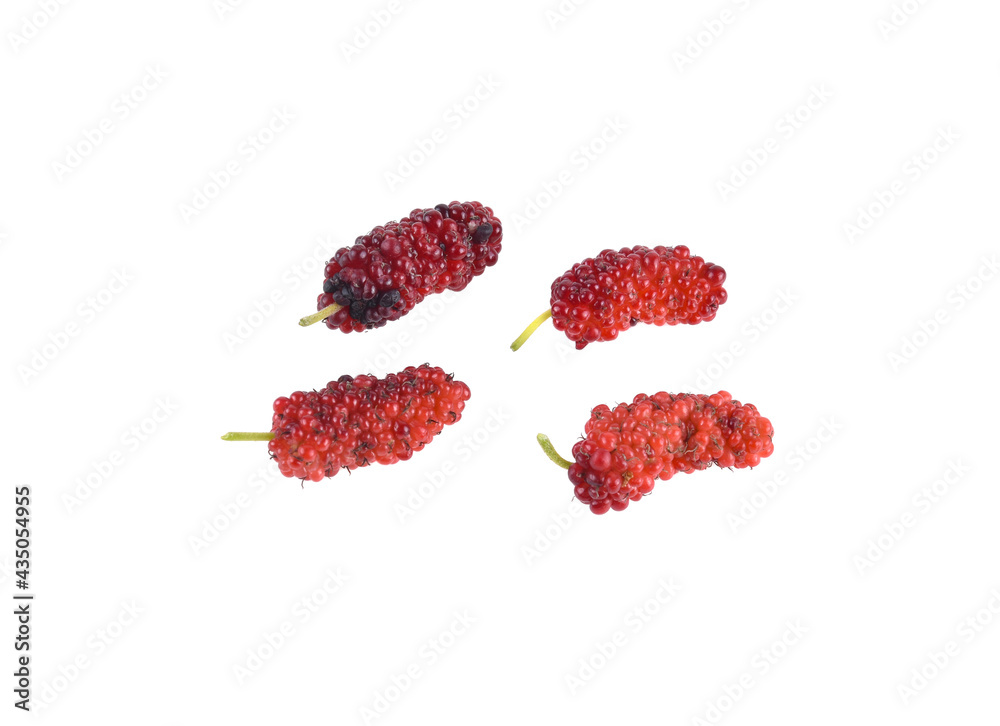 Mulberries isolated on white background Mulberries isolated on white background