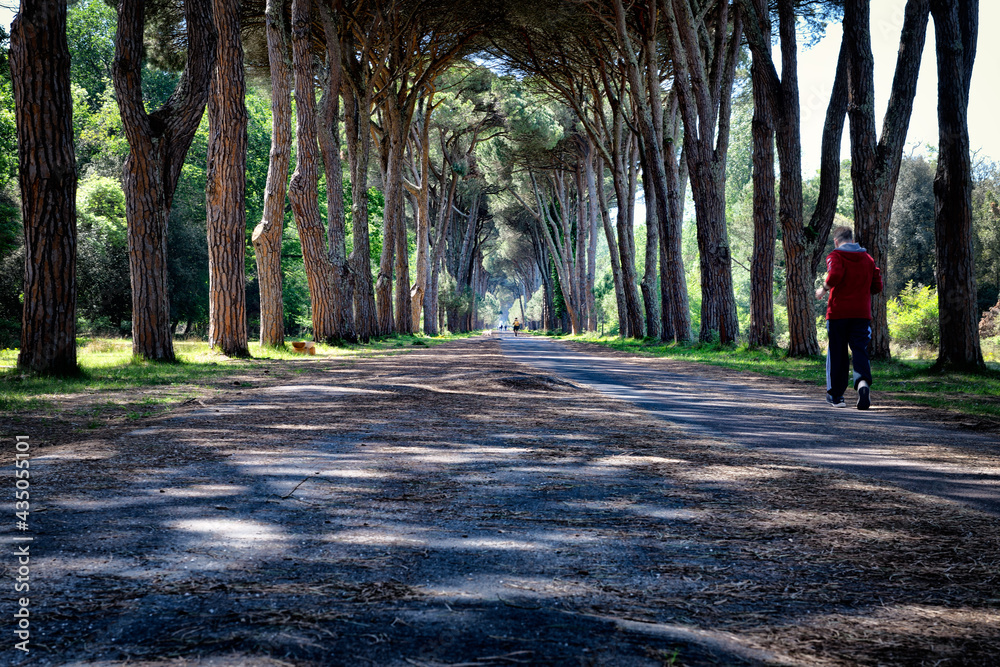 custom made wallpaper toronto digitalMagical places and hills of Tuscany  