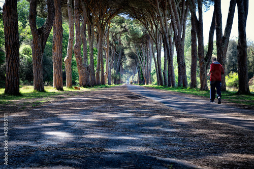 Wallpaper Mural Magical places and hills of Tuscany   Torontodigital.ca