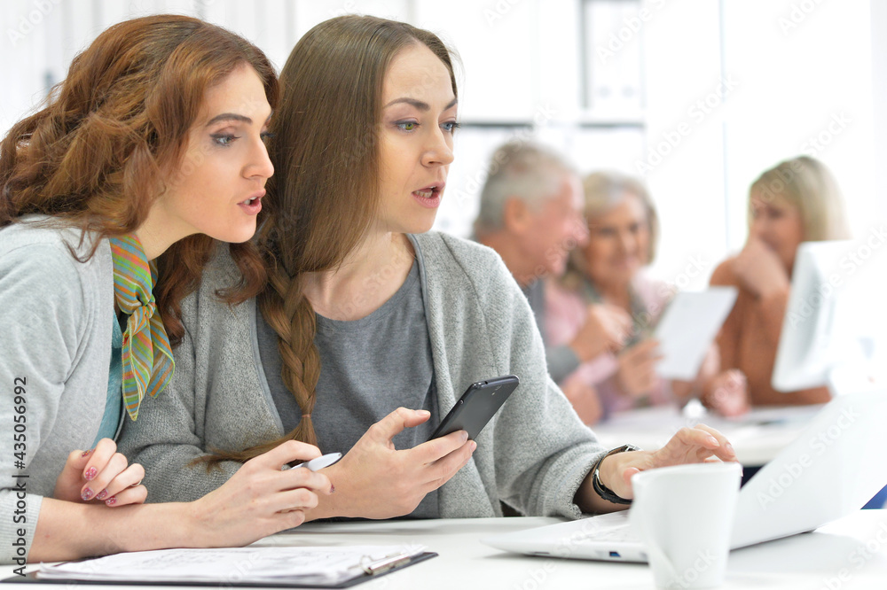 Fototapeta premium Group of active business people working