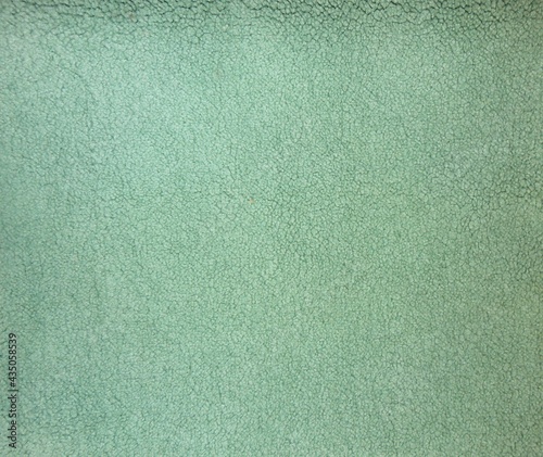 Pale green low pile carpet texture