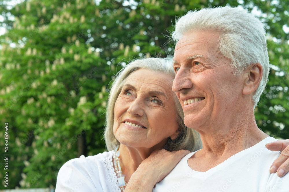 beautiful senior couple hugging in the park beautiful senior couple hugging in the park