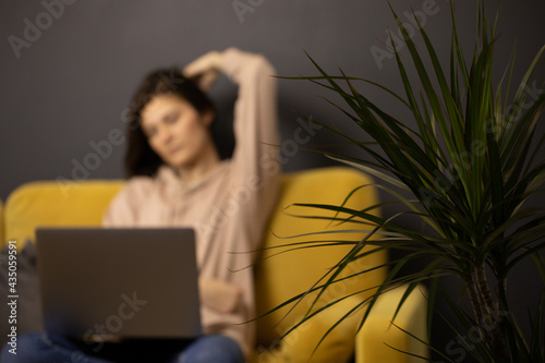 blurry portrait of sad long-haired brunette girl put hand on head sitting sofa with laptop in front of potted dracena selective focus. Loneliness, self-sufficiency. Filling out dating site profile