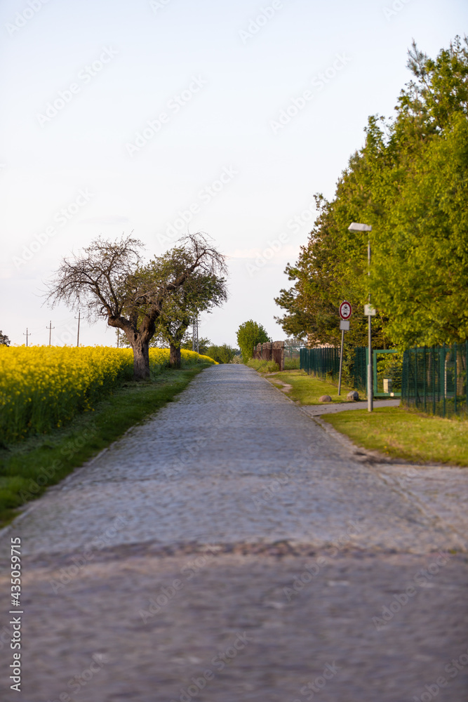 Wirtschaftsweg Feldweg auf dem Land hinter dem Dorf