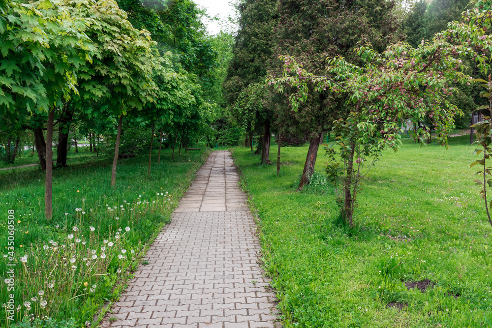 Poland, Krakow, green spring park with paved footpath