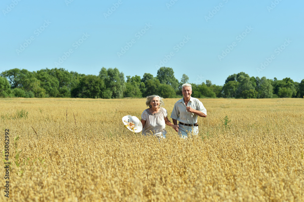 Senior couple resting at summer field Senior couple resting at summer field