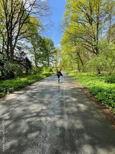 Wallpaper Mural walk in the park Torontodigital.ca
