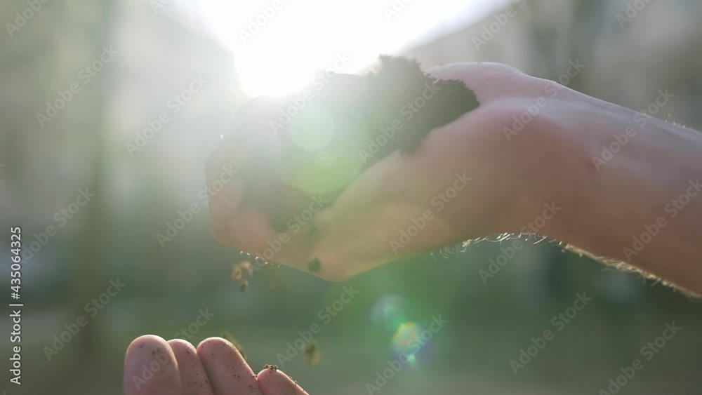 Close-up of soil pouring from one pond to another through the rays of the sun. Close-up of soil pouring from one pond to another through the rays of the sun.