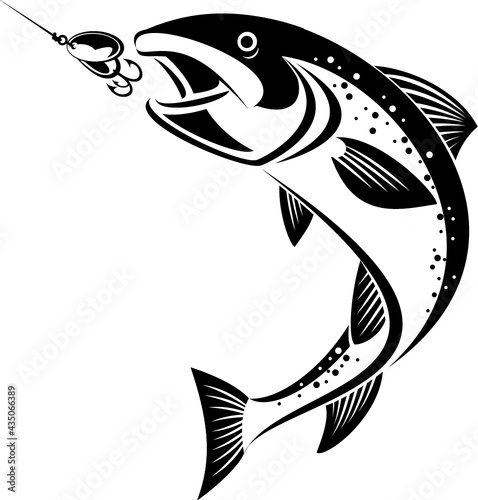 fish chasing fishing lure photo