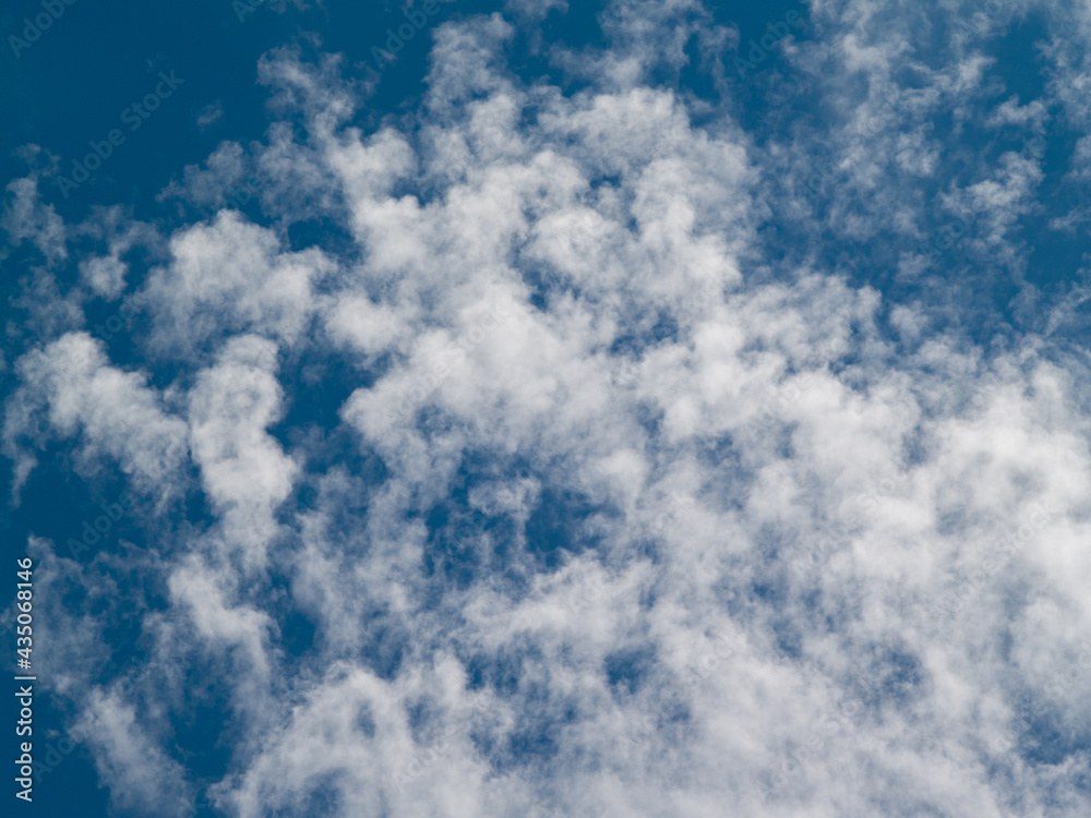 Fototapeta premium 夏空