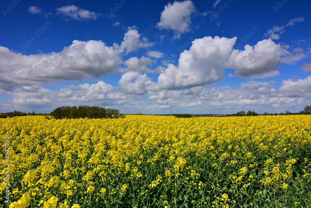 Landschaft Natur