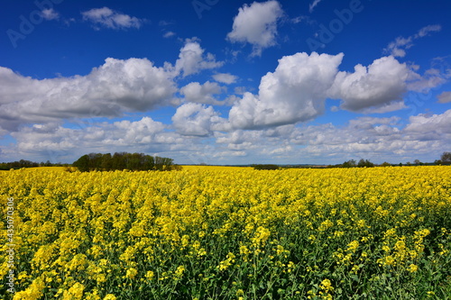 Landschaft Natur