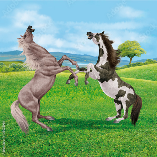 cheval  animal  isol    combat  force    talon  vert  prairie  pelouse  galop  course  courir  paysage  roux  amoureux des chevaux  mammif  re  arabe  chevalin  nature  silhouette  ferme  sauvage  crin  