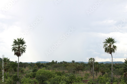 Vista para o sil  ncio 