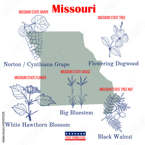 Missouri. Set of USA official state symbols