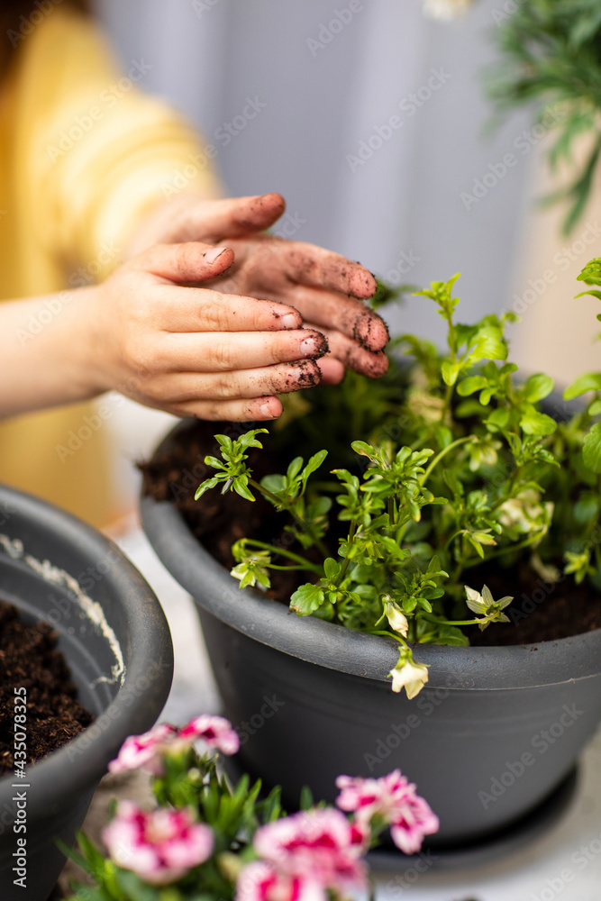 Little girl planting flowers in a pot on the balcony, close-up