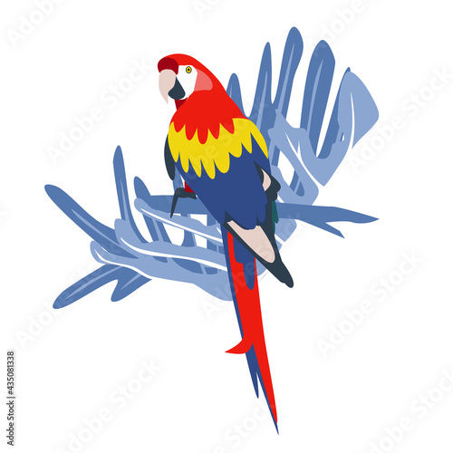 Tropical hand drawn colorful ara parrott with leaf background. Macaw parrot isolated on white background. photo