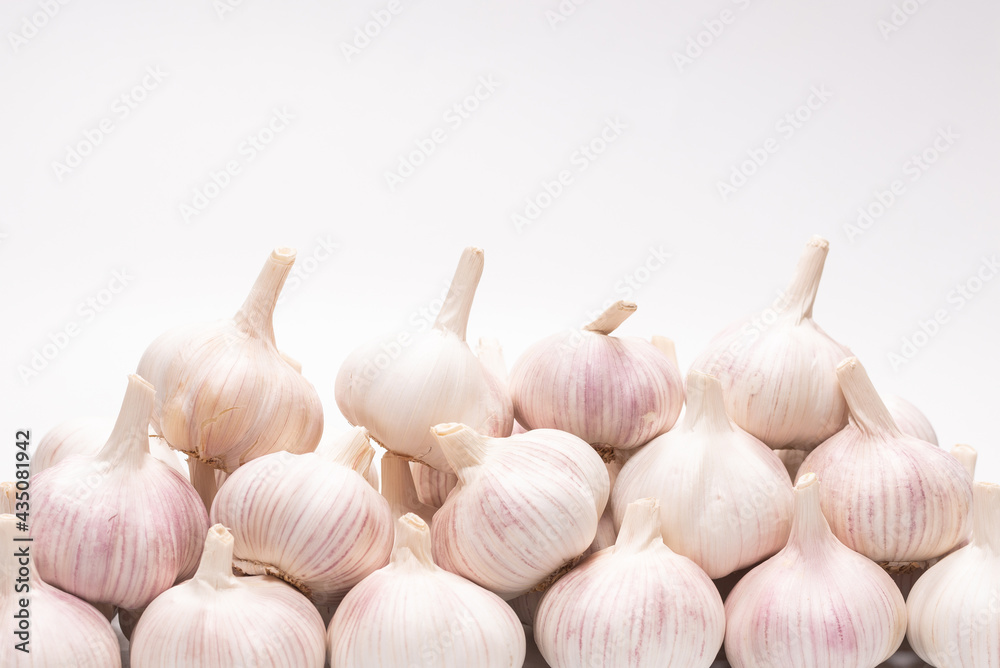 Garlic isolated on a white background. Garlic isolated on a white background.