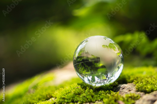 rystal globe glass resting on moss stone with sunshine in nature forset. eco  environment concept photo