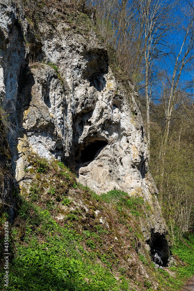 Felswand im Naturschutzgebiet St. Wendel zum Stein Felswand im Naturschutzgebiet St. Wendel zum Stein