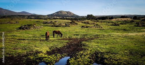 Hallasan Mountain scenery in Jeju Island, Korea