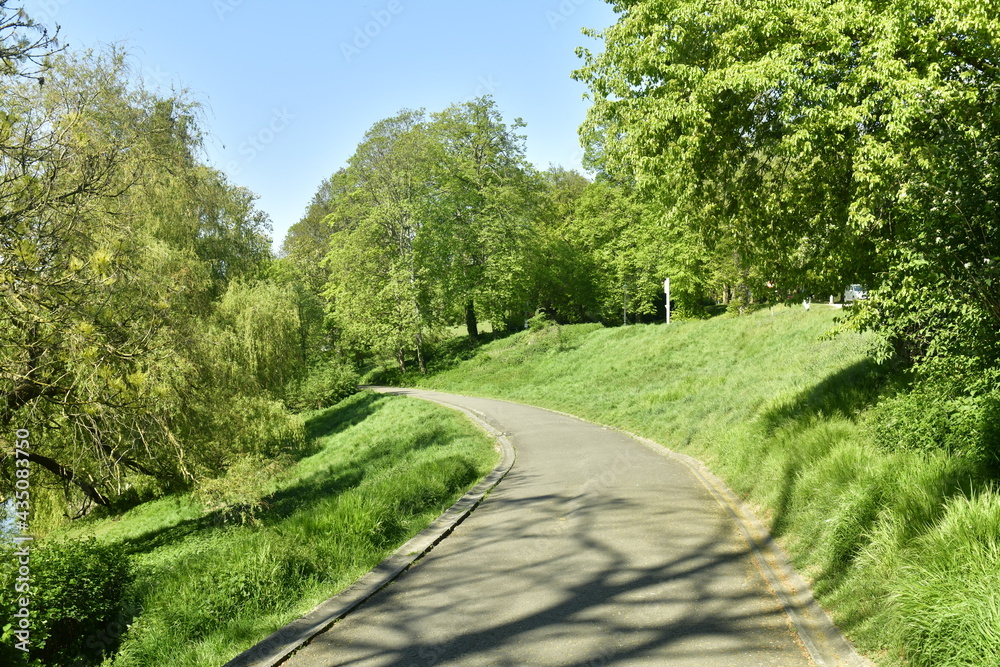Chemin en bitume entre l'un des étangs et l'avenue de Tervuren en pleine nature luxuriante du parc de Woluwe à Woluwé-St-Pierre