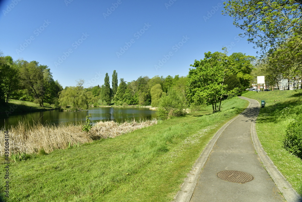 Chemin en bitume entre l'un des étangs et l'avenue de Tervuren en pleine nature luxuriante du parc de Woluwe à Woluwé-St-Pierre