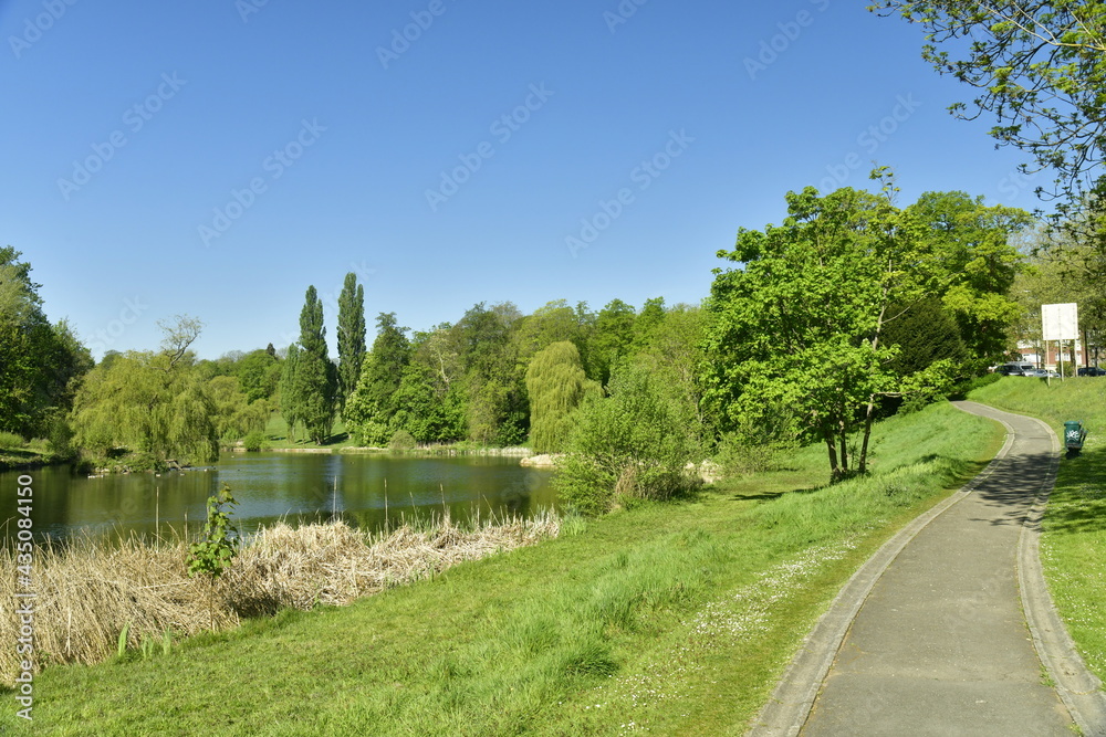 Chemin en bitume entre l'un des étangs et l'avenue de Tervuren en pleine nature luxuriante du parc de Woluwe à Woluwé-St-Pierre