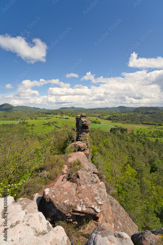 a beautiful panorama near the geiersteine over the Palatinate Forest in springtime